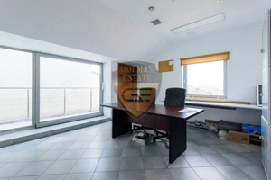 Spațiul comercial, Stadion, 225 mp utili cu curte si balcoane, 5 bai, bucatarie - imagine 12