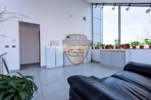 Spațiul comercial, Stadion, 225 mp utili cu curte si balcoane, 5 bai, bucatarie - imagine 14