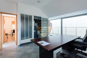 Spațiul comercial, Stadion, 225 mp utili cu curte si balcoane, 5 bai, bucatarie - imagine 11