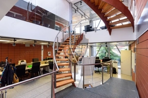 Spațiul comercial, Stadion, 225 mp utili cu curte si balcoane, 5 bai, bucatarie