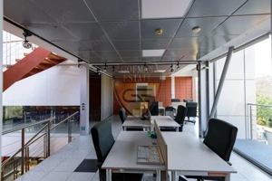 Spațiul comercial, Stadion, 225 mp utili cu curte si balcoane, 5 bai, bucatarie - imagine 19