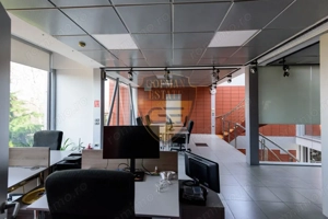 Spațiul comercial, Stadion, 225 mp utili cu curte si balcoane, 5 bai, bucatarie - imagine 20