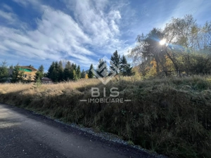 Teren de vanzare 12 ari - COLIBITA - imagine 2