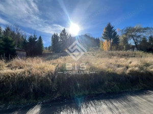 Teren de vanzare 12 ari - COLIBITA - imagine 4