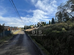 Teren de vanzare 12 ari - COLIBITA - imagine 3