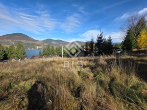 Teren de vanzare 12 ari - COLIBITA - imagine 5