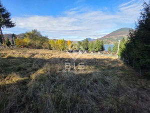 Teren de vanzare 12 ari - COLIBITA - imagine 7