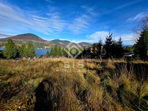 Teren de vanzare 12 ari - COLIBITA - imagine 8