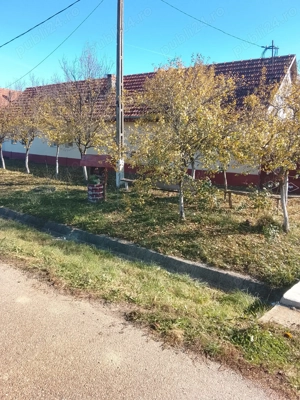Casa de vanzare la 50km de Timisoara