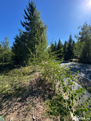 Teren 1.171 mp în pădure   Dealu Negru, zonă liniștită, acte la zi