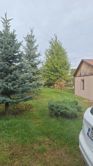 Casă de vânzare in Smârdan -Botoșani  - imagine 5