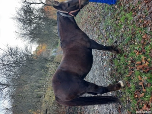 iapa de vanzare  - imagine 2