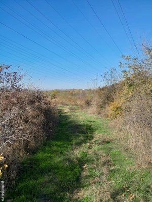 2813mp intravilan, deschidere 27m de vanzare in Clocociov  - imagine 4