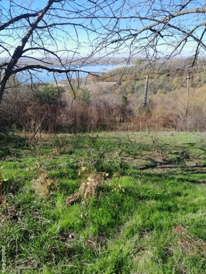 2813mp intravilan, deschidere 27m de vanzare in Clocociov  - imagine 7