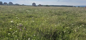 Teren intravilan de vânzare 