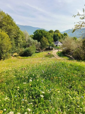 Teren 3.800 mp - Slatina, Nucsoara - imagine 3