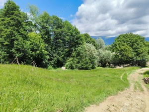 Teren 3.800 mp - Slatina, Nucsoara - imagine 2