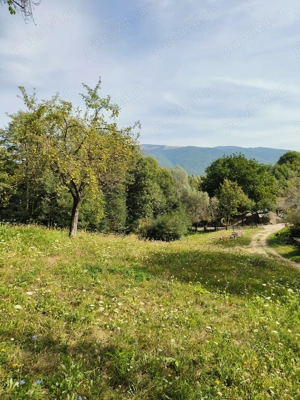 Teren 3.800 mp - Slatina, Nucsoara - imagine 7