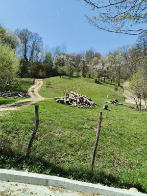 Teren 3.800 mp - Slatina, Nucsoara - imagine 4