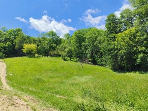 Teren 3.800 mp - Slatina, Nucsoara