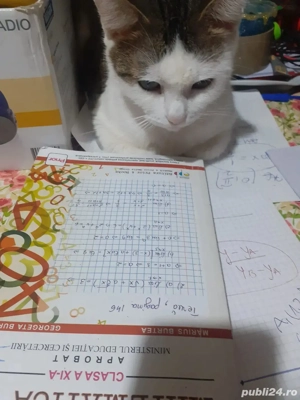 Meditatii matematica liceu,pregatire bacalaureat