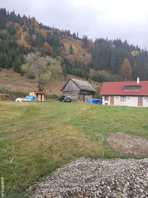 Se vinde casa urgent - imagine 8