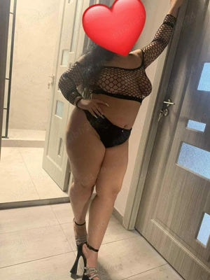 New in domeniu cu experiență 