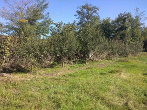 Casa de vânzare  - imagine 3