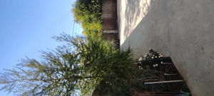 Casa tip vila vânzare 