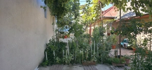 Casa de vanzare - imagine 5