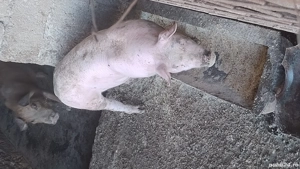 schimbăm locația, - imagine 4