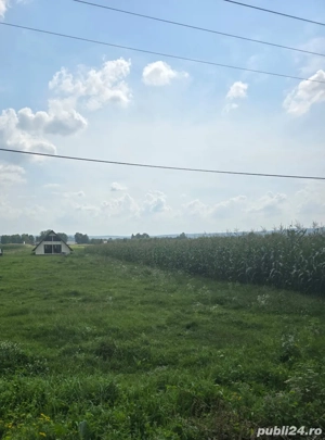 Cabana de vis la marginea pădurii   72 ari teren, priveliște superbă!