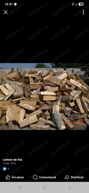 Despicare Lemne La Domiciliu Sibiu și Împrejurimi 