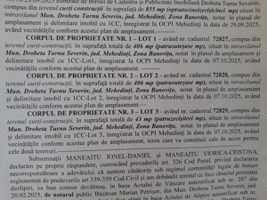 Teren  Banovita str Iazului - imagine 6