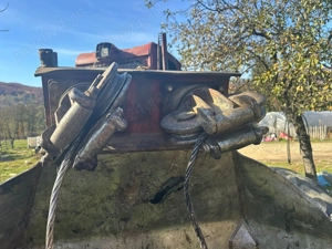 Taf Perkins Forestier - imagine 3