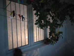 Apartament cu o cameră confort 1. - imagine 5