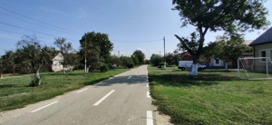 Casa   gospodarie in Belint - imagine 3