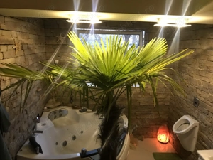 apartament central Corod  - imagine 2