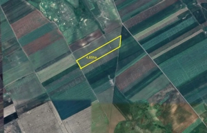 Persoana fizica, 46.500 mp extravilan agricol Sipote, Jud Iasi - imagine 4