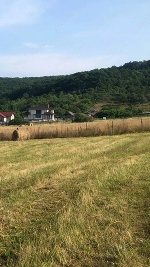 Vând teren la Coldău (bistrita-nasaud)
