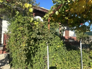 Casa de vanzare - sat Petrosani, jud Constanta - imagine 9