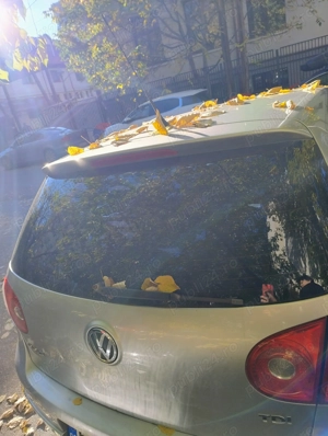 Volkswagen Golf 5  Goal proprietar - imagine 4