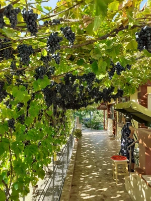 Vând casa com Jorasti jud Galati - imagine 6