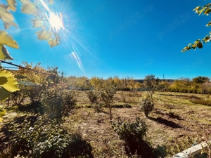 Casa de vanzare - sat Petrosani, jud Constanta - imagine 10