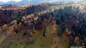 FILM! Teren intravilan spectaculos,1.000 mp,Moieciu,panorama 180°,potential rezidential  investition - imagine 5