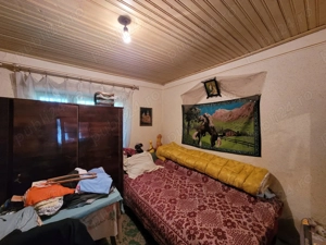 Casa 3 camere Dridu - imagine 9