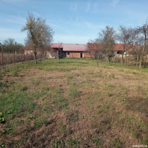 Vindem casa lugojel - imagine 5