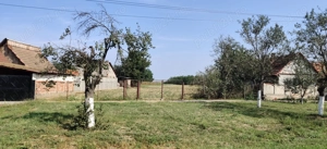 Gradina intravilan Belint