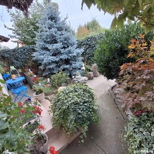 Duplex de vanzare, Mosnita Veche, 5 cam, 132 utili, toate utilitatile - imagine 3