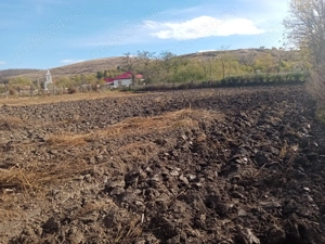 Teren 8 euro mp,Sat Borsa,Com,Vladeni